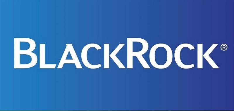 A BlackRock, uma das maiores empresas de investimento do mundo, formou um grupo de trabalho para estudar o mercado de criptomoedas.